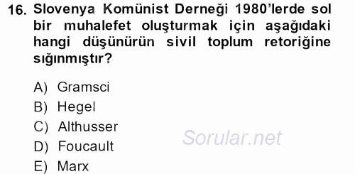 Sosyolojide Yakın Dönem Gelişmeler 2013 - 2014 Dönem Sonu Sınavı 16.Soru