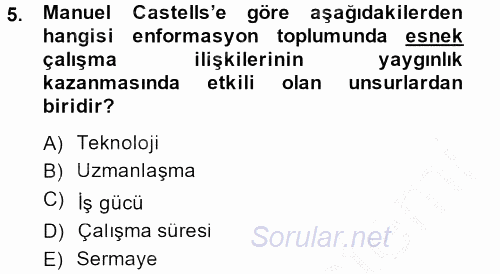 Sosyolojide Yakın Dönem Gelişmeler 2013 - 2014 Dönem Sonu Sınavı 5.Soru