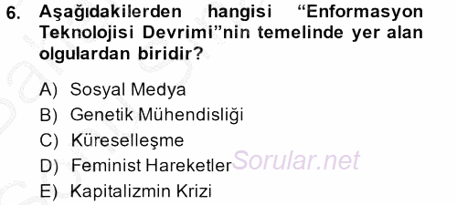 Sosyolojide Yakın Dönem Gelişmeler 2013 - 2014 Dönem Sonu Sınavı 6.Soru
