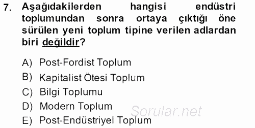 Sosyolojide Yakın Dönem Gelişmeler 2013 - 2014 Dönem Sonu Sınavı 7.Soru