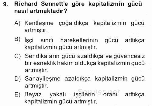 Sosyolojide Yakın Dönem Gelişmeler 2013 - 2014 Dönem Sonu Sınavı 9.Soru