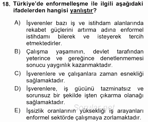 Türkiye´nin Toplumsal Yapısı 2016 - 2017 Dönem Sonu Sınavı 18.Soru