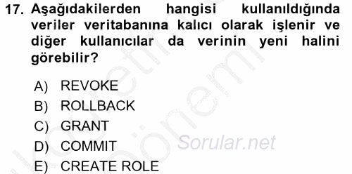 Sağlık Kurumlarında Bilgi Sistemleri 2016 - 2017 Ara Sınavı 17.Soru