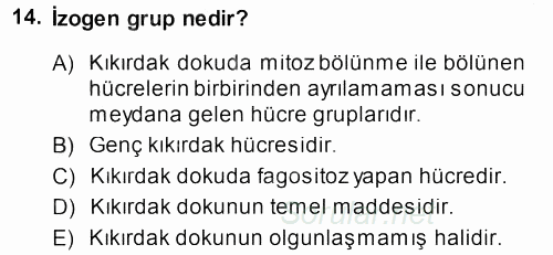 Temel Veteriner Histoloji ve Embriyoloji 2013 - 2014 Ara Sınavı 14.Soru