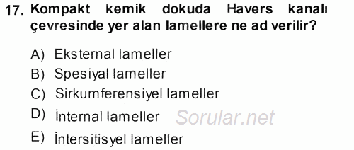 Temel Veteriner Histoloji ve Embriyoloji 2013 - 2014 Ara Sınavı 17.Soru