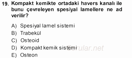 Temel Veteriner Histoloji ve Embriyoloji 2013 - 2014 Ara Sınavı 19.Soru