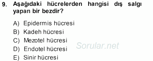 Temel Veteriner Histoloji ve Embriyoloji 2013 - 2014 Ara Sınavı 9.Soru