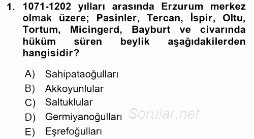 Türkiye Selçuklu Tarihi 2016 - 2017 Ara Sınavı 1.Soru