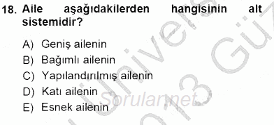 Çocuk Ruh Sağlığı 2012 - 2013 Ara Sınavı 18.Soru
