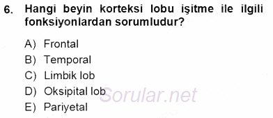 Çocuk Ruh Sağlığı 2012 - 2013 Ara Sınavı 6.Soru