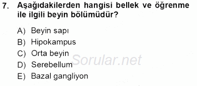 Çocuk Ruh Sağlığı 2012 - 2013 Ara Sınavı 7.Soru