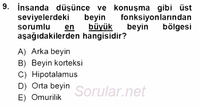 Çocuk Ruh Sağlığı 2012 - 2013 Ara Sınavı 9.Soru