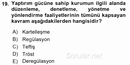 Sanayi Ekonomisi 2016 - 2017 Dönem Sonu Sınavı 19.Soru
