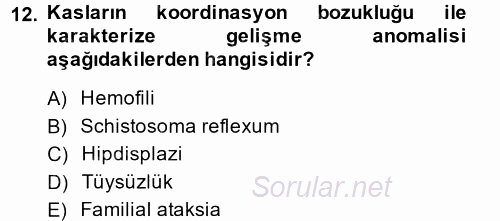 Doğum Bilgisi ve Suni Tohumlama 2014 - 2015 Tek Ders Sınavı 12.Soru