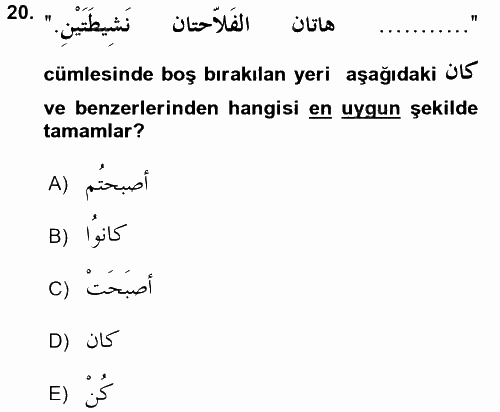 Arapça 2 2015 - 2016 Dönem Sonu Sınavı 20.Soru