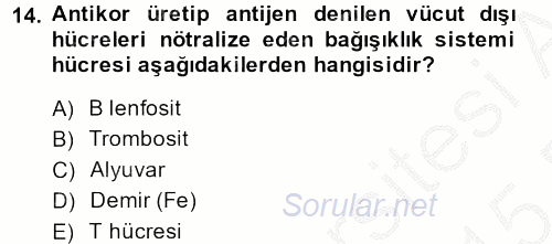 Çatışma ve Stres Yönetimi 2 2014 - 2015 Ara Sınavı 14.Soru