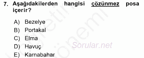 Sağlıklı Yaşam 2016 - 2017 Ara Sınavı 7.Soru