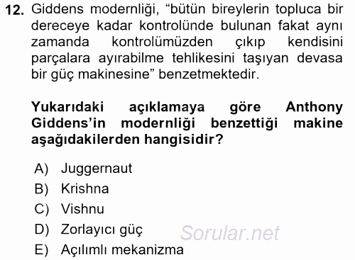 Sosyolojide Yakın Dönem Gelişmeler 2017 - 2018 Ara Sınavı 12.Soru
