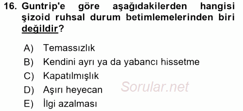 Sosyolojide Yakın Dönem Gelişmeler 2017 - 2018 Ara Sınavı 16.Soru