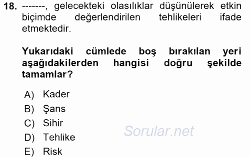 Sosyolojide Yakın Dönem Gelişmeler 2017 - 2018 Ara Sınavı 18.Soru