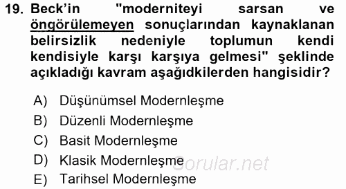 Sosyolojide Yakın Dönem Gelişmeler 2017 - 2018 Ara Sınavı 19.Soru