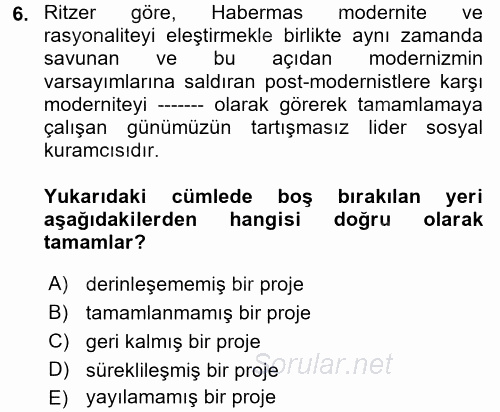 Sosyolojide Yakın Dönem Gelişmeler 2017 - 2018 Ara Sınavı 6.Soru