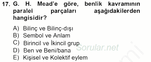 Modern Sosyoloji Tarihi 2012 - 2013 Ara Sınavı 17.Soru