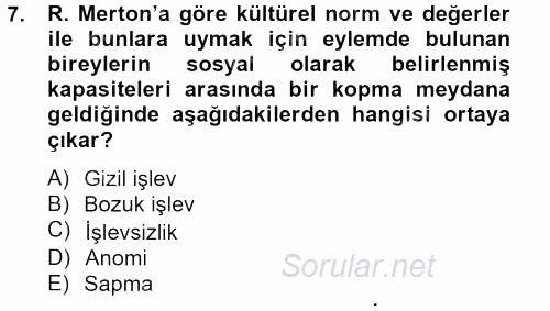 Modern Sosyoloji Tarihi 2012 - 2013 Ara Sınavı 7.Soru