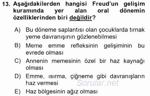 Çocuk Gelişimi 2016 - 2017 Dönem Sonu Sınavı 13.Soru