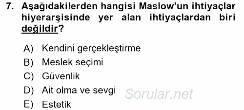 Çocuk Gelişimi 2016 - 2017 Dönem Sonu Sınavı 7.Soru