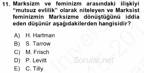 Yeni Toplumsal Hareketler 2015 - 2016 Dönem Sonu Sınavı 11.Soru