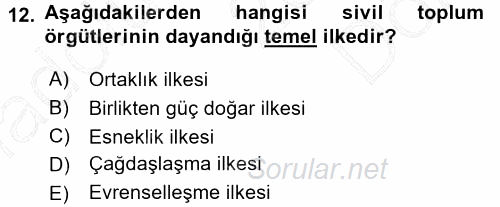 Yeni Toplumsal Hareketler 2015 - 2016 Dönem Sonu Sınavı 12.Soru