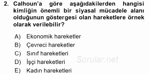 Yeni Toplumsal Hareketler 2015 - 2016 Dönem Sonu Sınavı 2.Soru