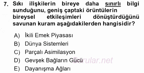 Yeni Toplumsal Hareketler 2015 - 2016 Dönem Sonu Sınavı 7.Soru