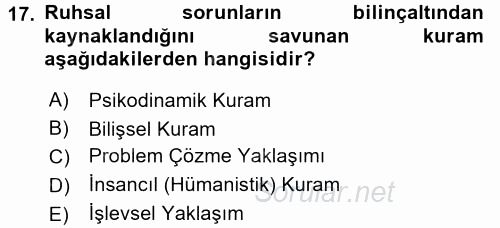 Görüşme Teknikleri 2017 - 2018 Ara Sınavı 17.Soru
