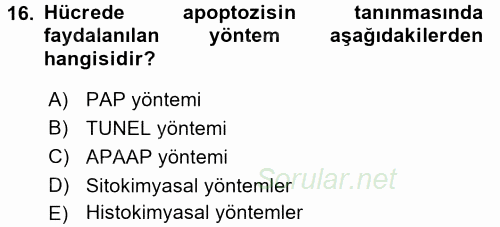 Temel Veteriner Patoloji 2015 - 2016 Tek Ders Sınavı 16.Soru