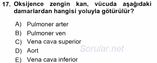 Temel Sağlık Ve Hastalık Bilgisi 2017 - 2018 3 Ders Sınavı 17.Soru