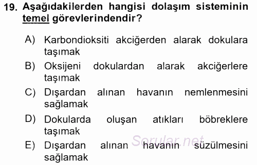 Temel Sağlık Ve Hastalık Bilgisi 2017 - 2018 3 Ders Sınavı 19.Soru