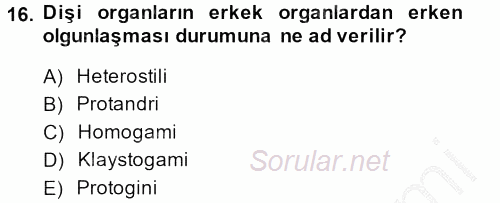 Bahçe Tarımı 1 2014 - 2015 Ara Sınavı 16.Soru