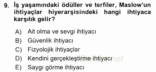 Ücret ve Ödül Yönetimi 2017 - 2018 Dönem Sonu Sınavı 9.Soru