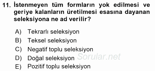 Tarla Bitkileri 1 2015 - 2016 Tek Ders Sınavı 11.Soru