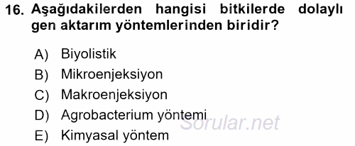Tarla Bitkileri 1 2015 - 2016 Tek Ders Sınavı 16.Soru