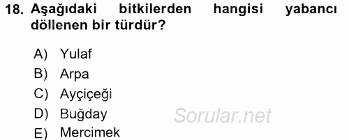 Tarla Bitkileri 1 2015 - 2016 Tek Ders Sınavı 18.Soru