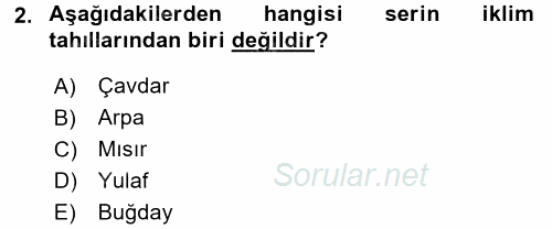 Tarla Bitkileri 1 2015 - 2016 Tek Ders Sınavı 2.Soru