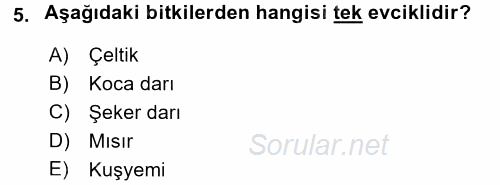 Tarla Bitkileri 1 2015 - 2016 Tek Ders Sınavı 5.Soru