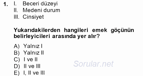 Çalışma Ekonomisi 2 2013 - 2014 Dönem Sonu Sınavı 1.Soru