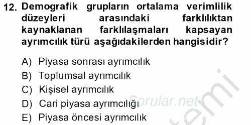 Çalışma Ekonomisi 2 2013 - 2014 Dönem Sonu Sınavı 12.Soru