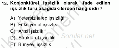 Çalışma Ekonomisi 2 2013 - 2014 Dönem Sonu Sınavı 13.Soru