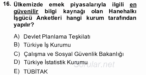 Çalışma Ekonomisi 2 2013 - 2014 Dönem Sonu Sınavı 16.Soru