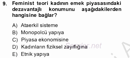 Çalışma Ekonomisi 2 2013 - 2014 Dönem Sonu Sınavı 9.Soru